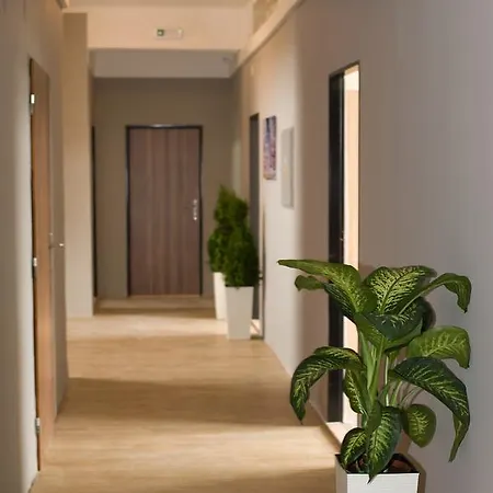 Guest house Boschmann Ceske Budejovice