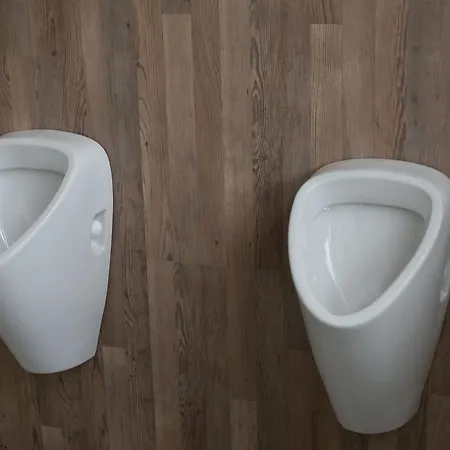 Boschmann 2*